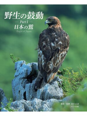 cover image of 野生の鼓動 Part1 日本の鷲
